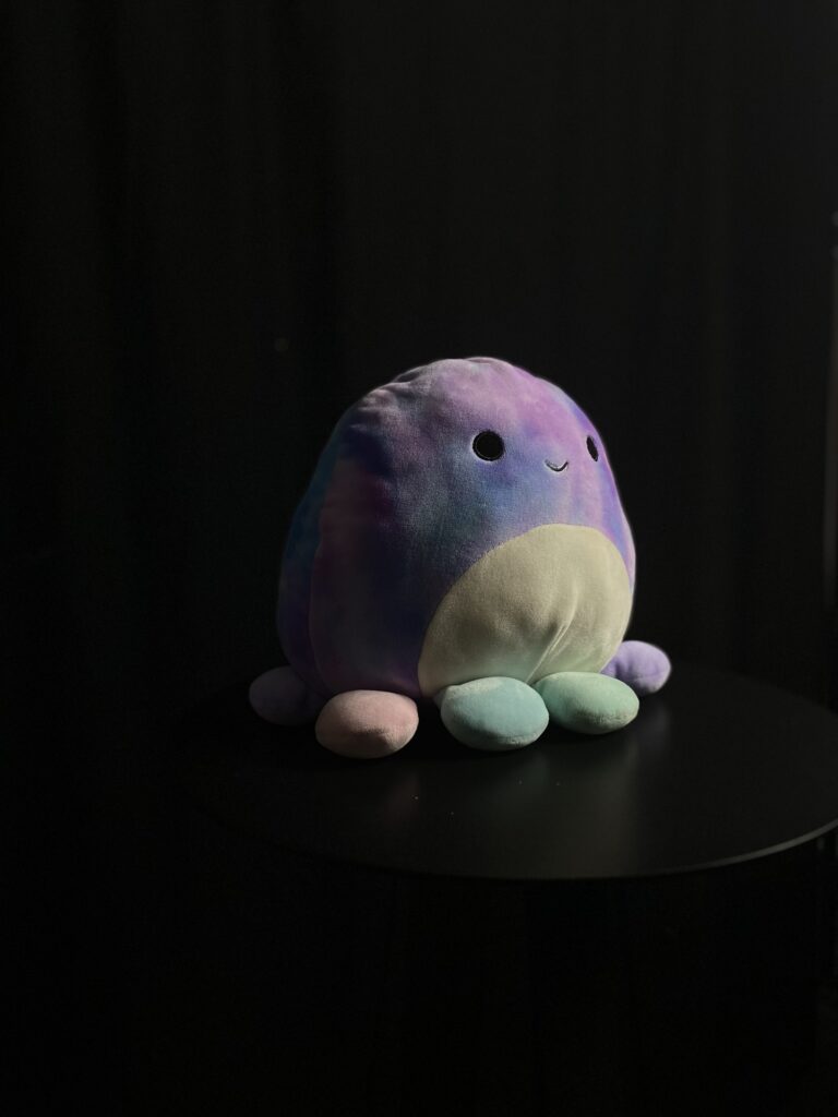 Stuffed Animal Low Key Lighting